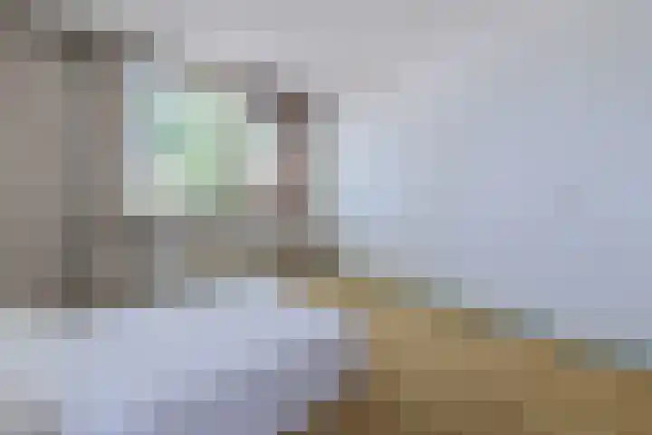 Berkeboom 61 Culemborg thumbnail 17