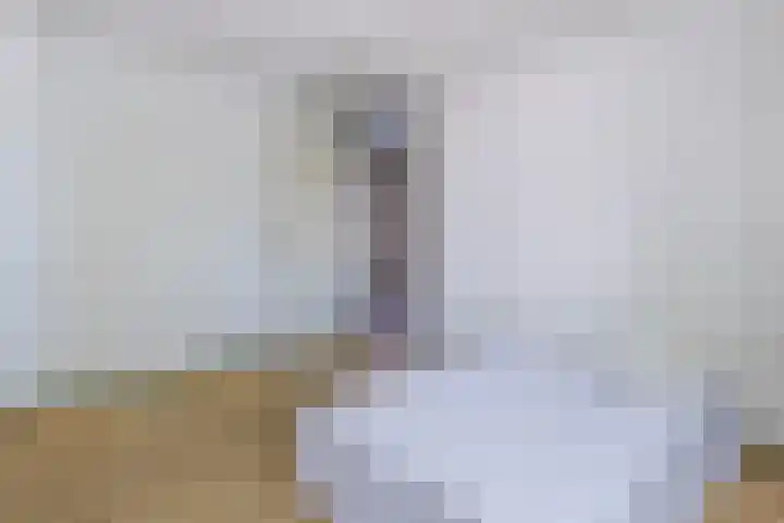 Berkeboom 61 Culemborg thumbnail 18