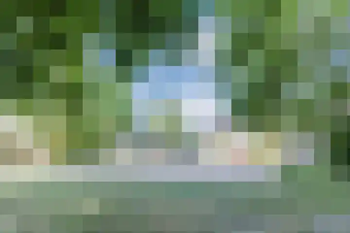 Berkeboom 61 Culemborg thumbnail 4