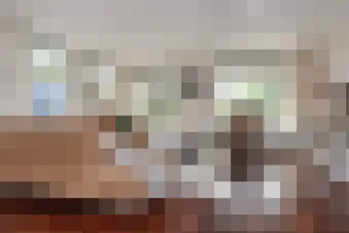 Berkebroeklaan 26 Den Haag thumbnail 10