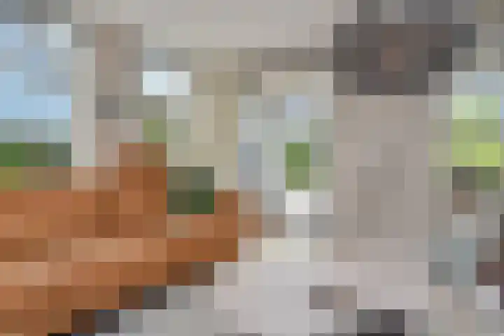 Berkebroeklaan 26 Den Haag thumbnail 11
