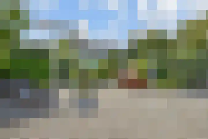 Berkebroeklaan 26 Den Haag thumbnail 15