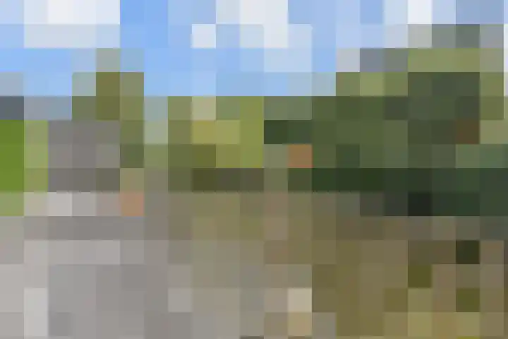 Berkebroeklaan 26 Den Haag thumbnail 17