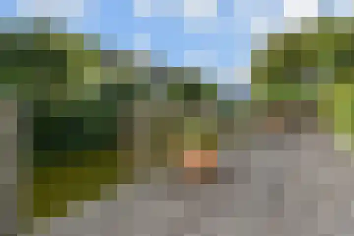 Berkebroeklaan 26 Den Haag thumbnail 18