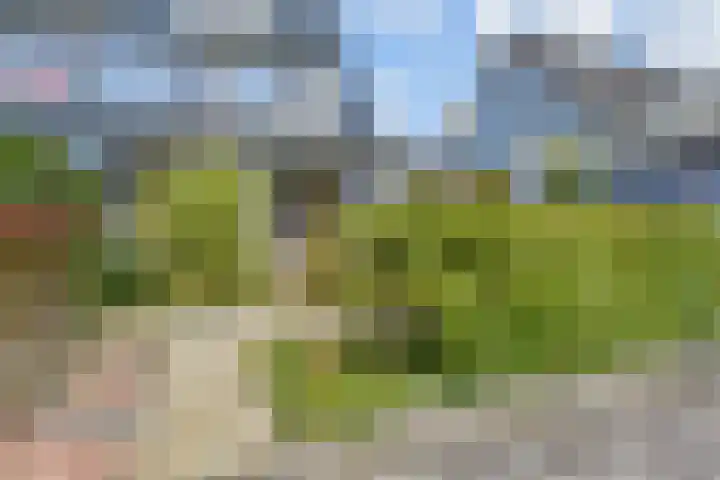 Berkebroeklaan 26 Den Haag thumbnail 20
