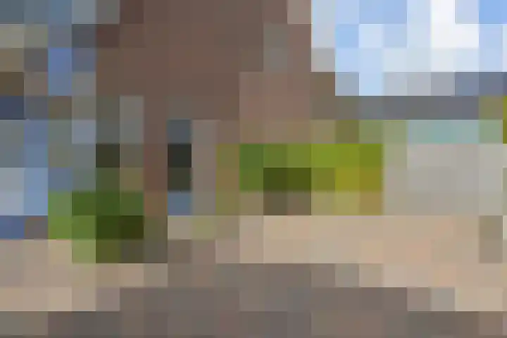 Berkebroeklaan 26 Den Haag thumbnail 21