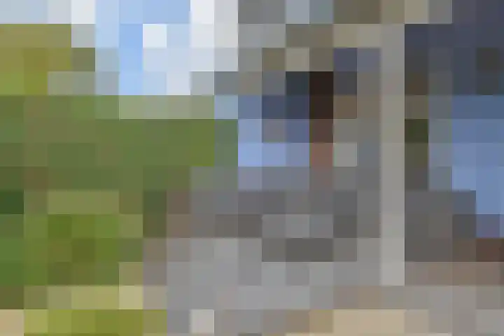Berkebroeklaan 26 Den Haag thumbnail 24