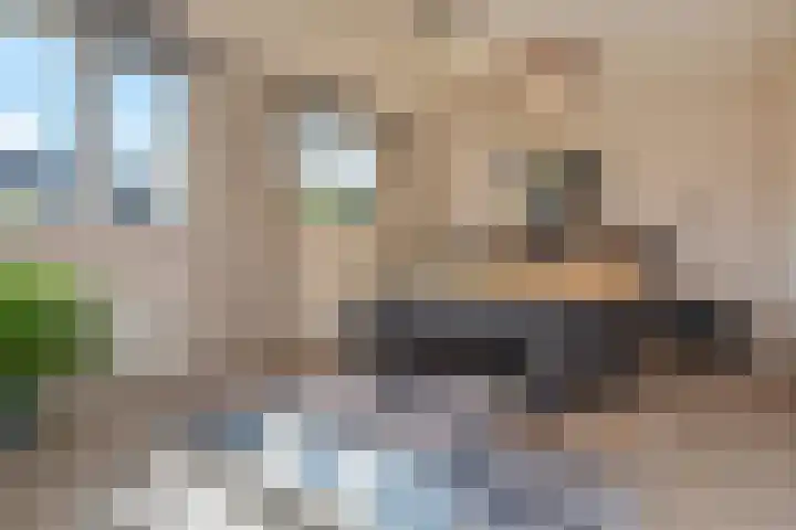 Berkebroeklaan 26 Den Haag thumbnail 37