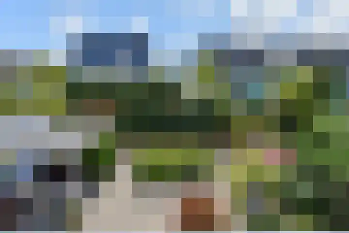 Berkebroeklaan 26 Den Haag thumbnail 38