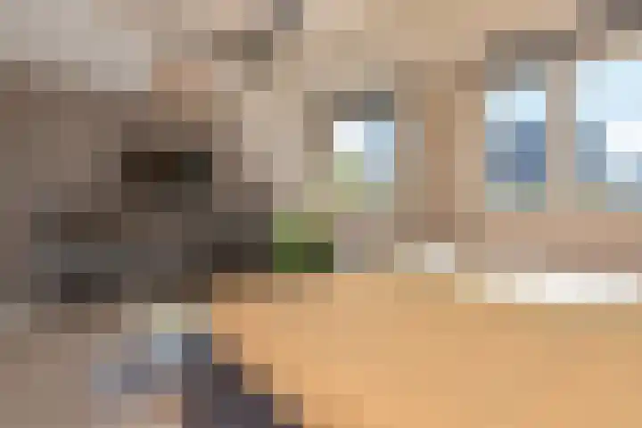 Berkebroeklaan 26 Den Haag thumbnail 39