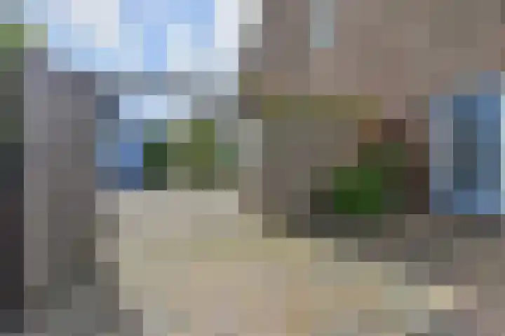 Berkebroeklaan 26 Den Haag thumbnail 4