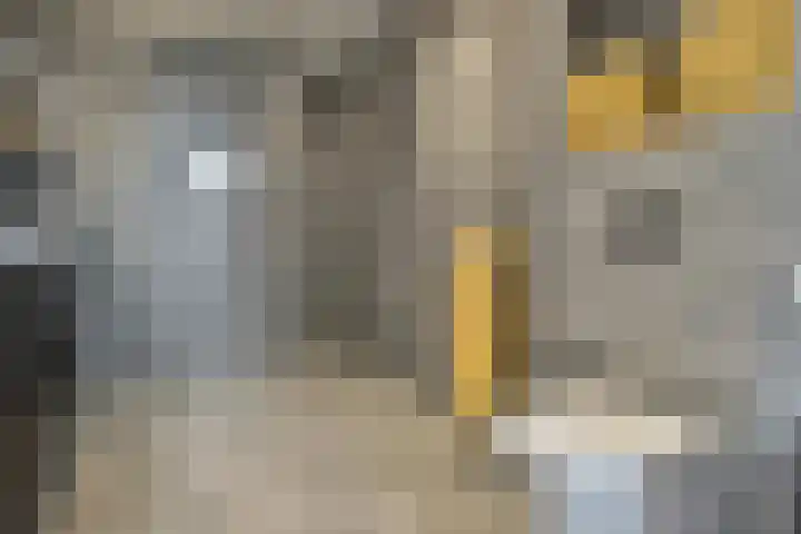Berkebroeklaan 26 Den Haag thumbnail 43
