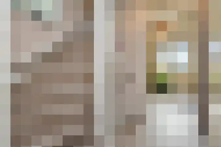 Berkebroeklaan 26 Den Haag thumbnail 48