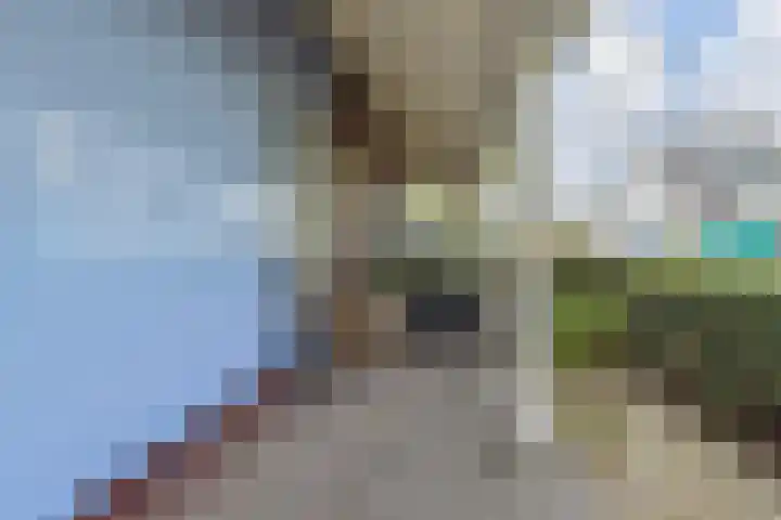 Berkebroeklaan 26 Den Haag thumbnail 5
