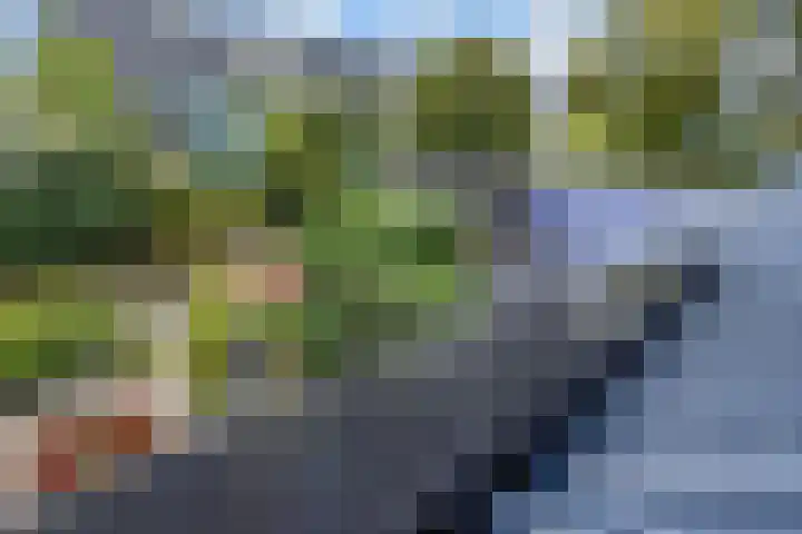 Berkebroeklaan 26 Den Haag thumbnail 55