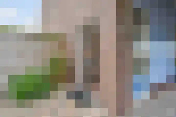 Berkebroeklaan 26 Den Haag thumbnail 6