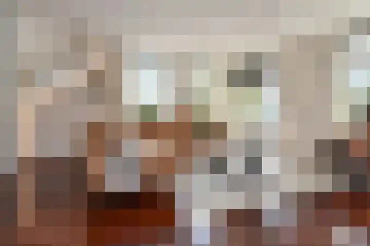 Berkebroeklaan 26 Den Haag thumbnail 9