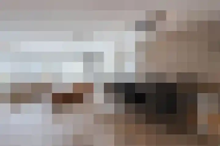 Berkebroeklaan 65 Den Haag thumbnail 12