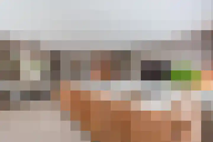 Berkebroeklaan 65 Den Haag thumbnail 14
