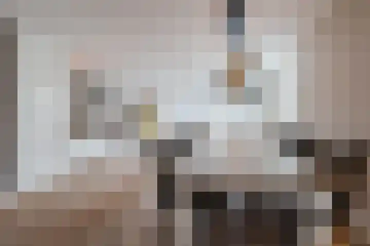 Berkebroeklaan 65 Den Haag thumbnail 17