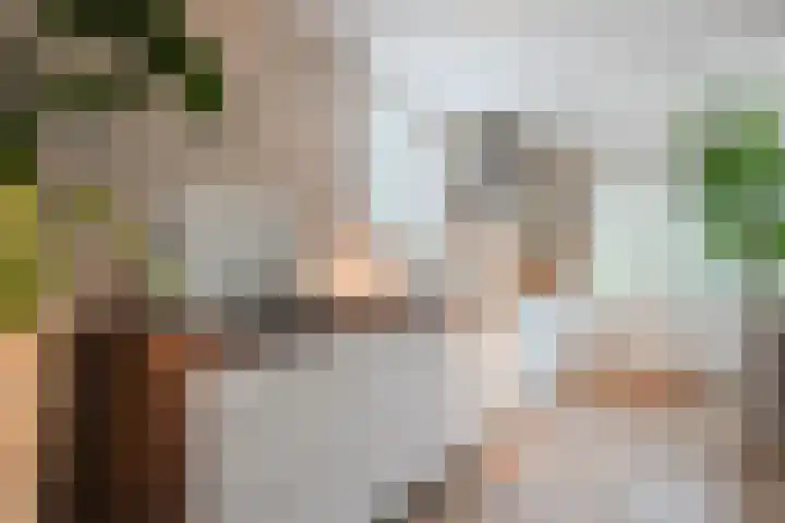 Berkebroeklaan 65 Den Haag thumbnail 18