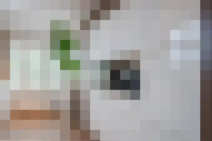 Berkebroeklaan 65 Den Haag thumbnail 19