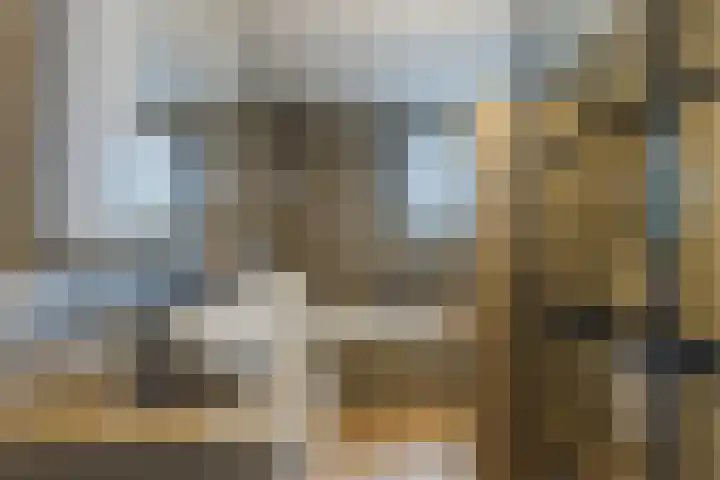 Berkebroeklaan 65 Den Haag thumbnail 31