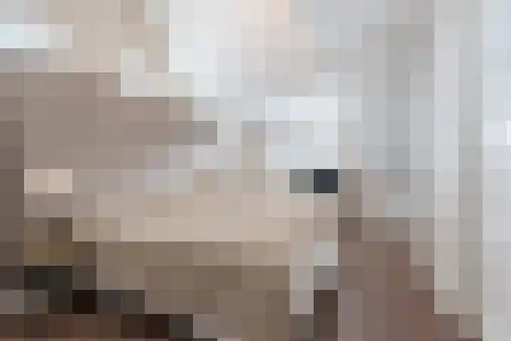 Berkebroeklaan 65 Den Haag thumbnail 36