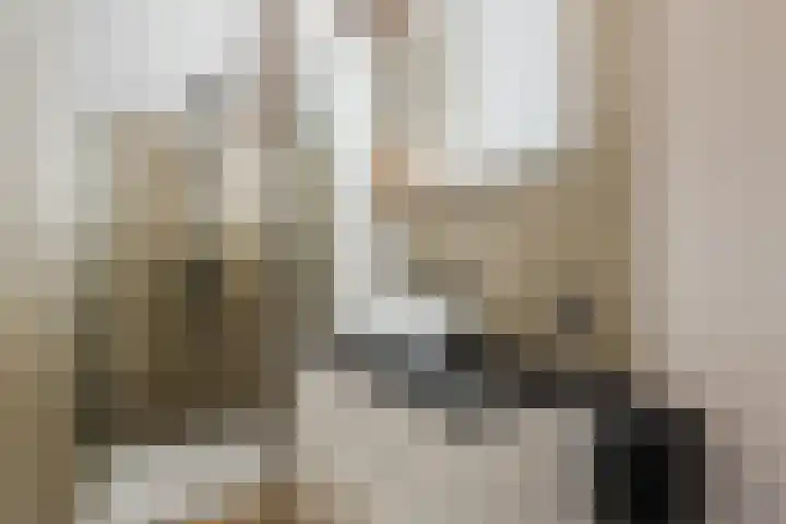 Berkebroeklaan 65 Den Haag thumbnail 39
