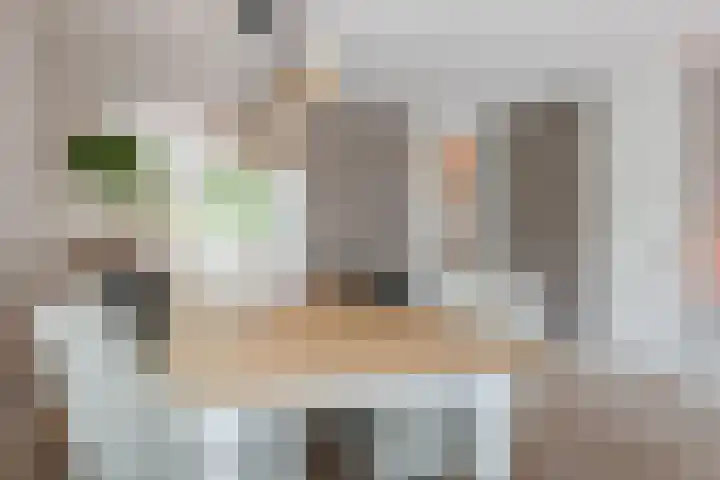 Berkebroeklaan 65 Den Haag thumbnail 4