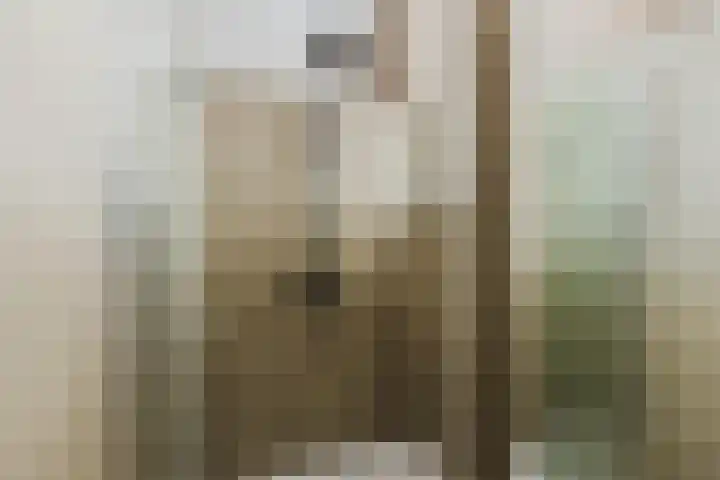 Berkebroeklaan 65 Den Haag thumbnail 40