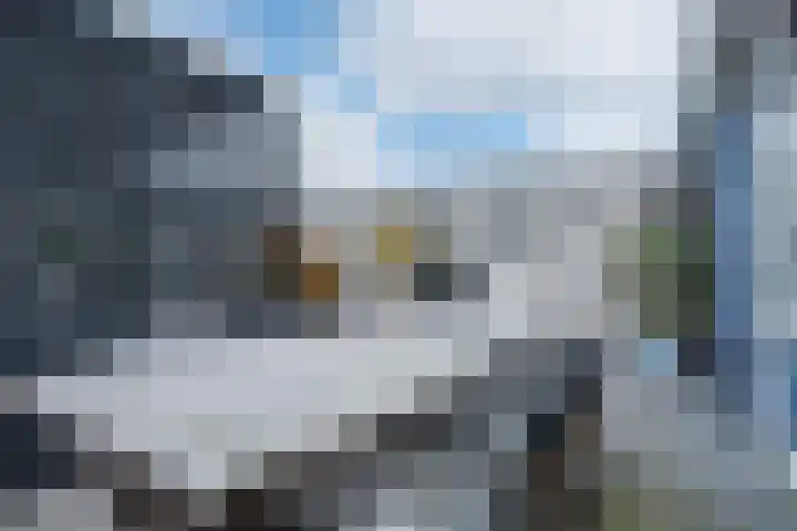 Berkebroeklaan 65 Den Haag thumbnail 43