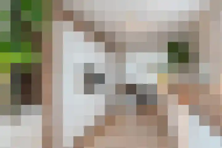 Berkebroeklaan 65 Den Haag thumbnail 5