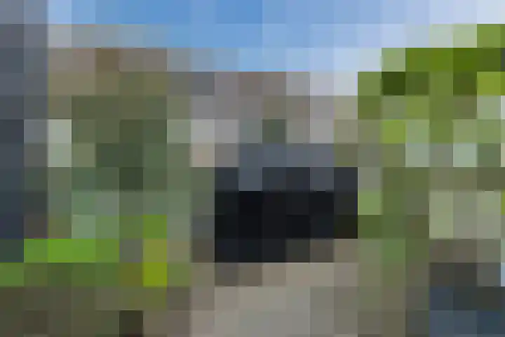Berkebroeklaan 65 Den Haag thumbnail 51