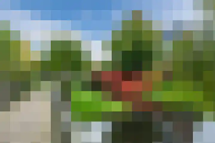 Berkebroeklaan 65 Den Haag thumbnail 54