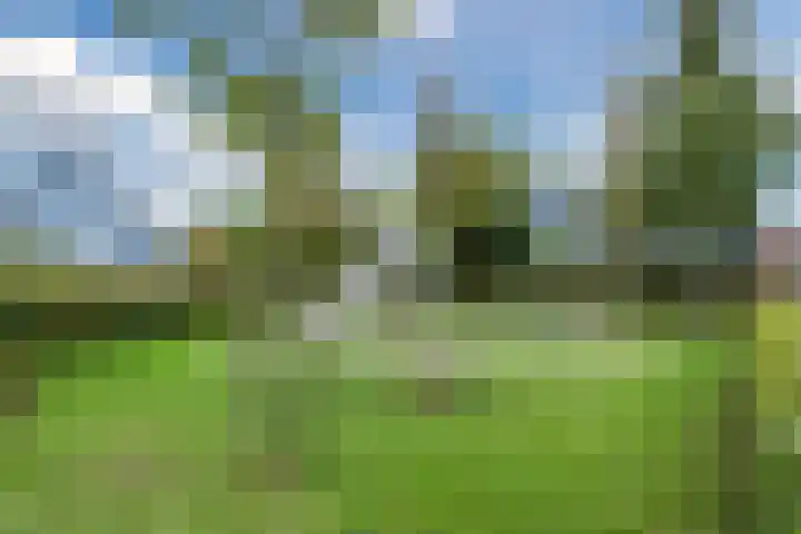 Berkebroeklaan 65 Den Haag thumbnail 55