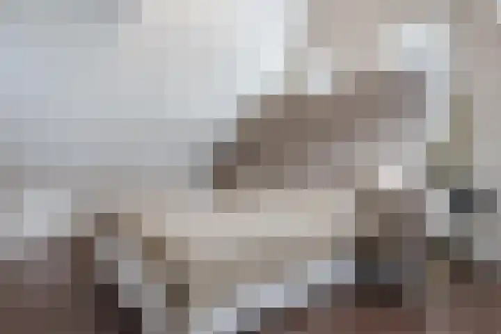 Berkebroeklaan 65 Den Haag thumbnail 7