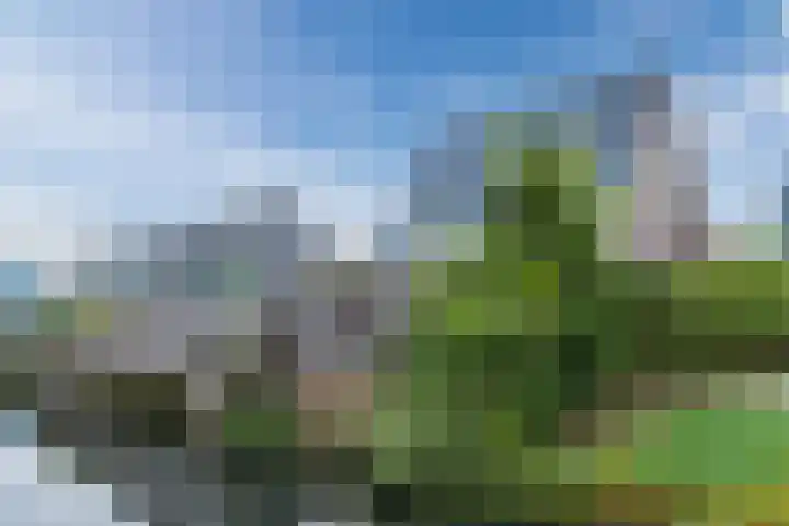 Berkebroeklaan 65 Den Haag thumbnail 9