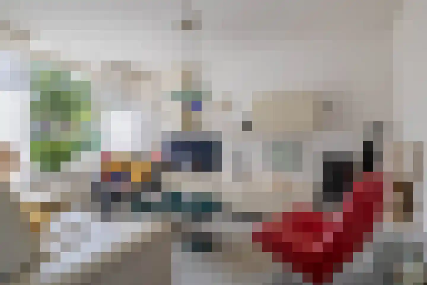 Berkehof 10 Dirksland thumbnail 10