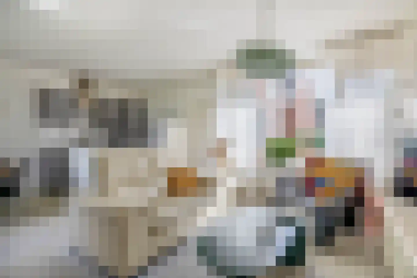 Berkehof 10 Dirksland thumbnail 11