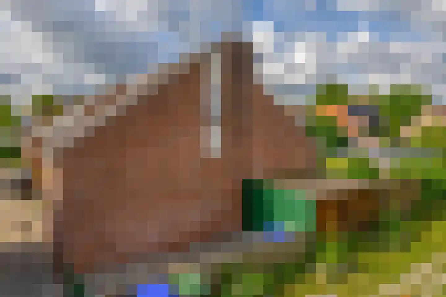 Berkehof 10 Dirksland thumbnail 29