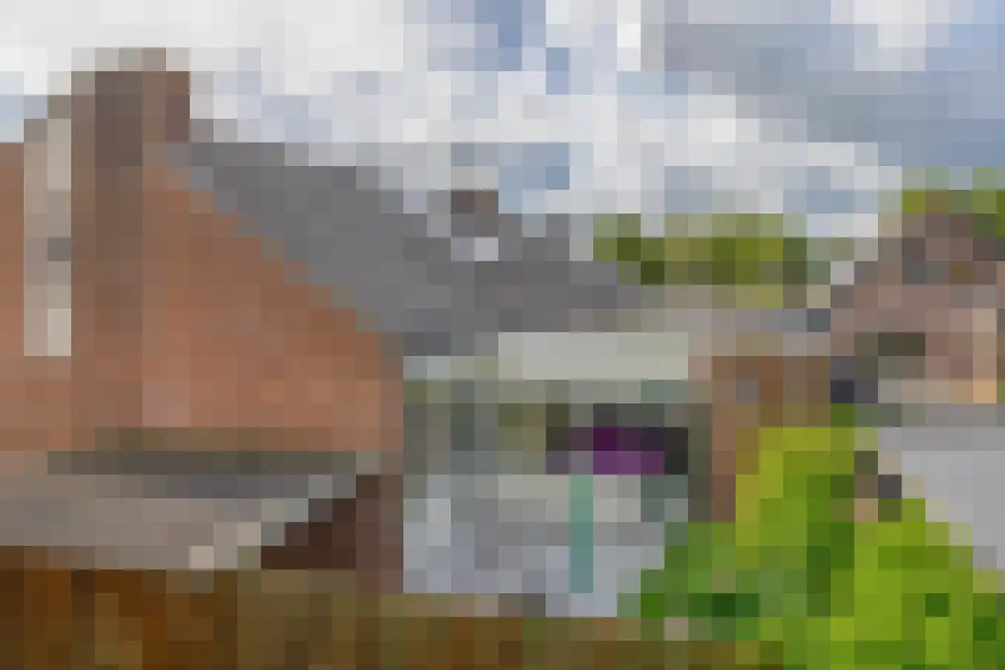 Berkehof 10 Dirksland thumbnail 30
