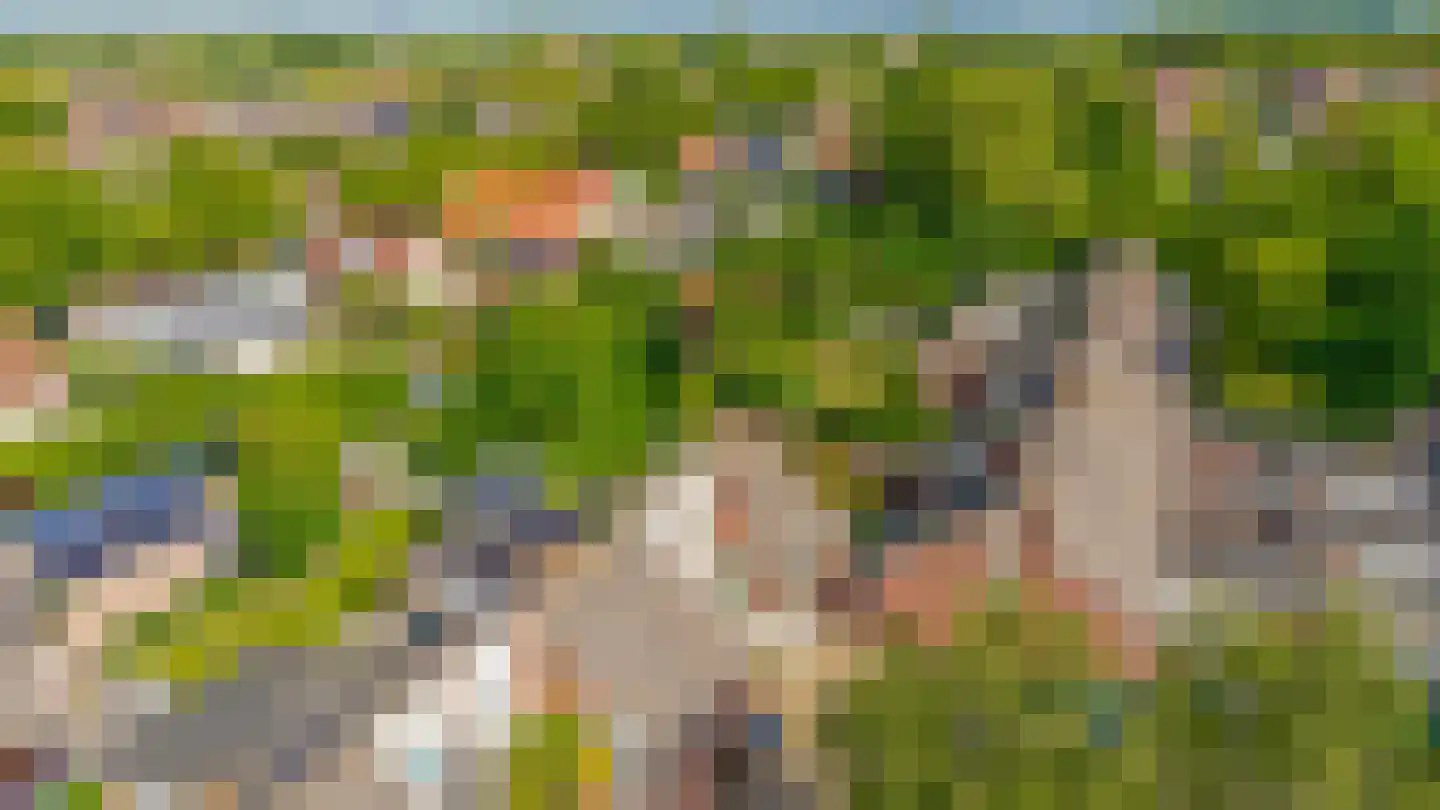 Berkehof 10 Dirksland thumbnail 33