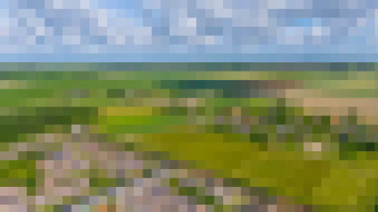 Berkehof 10 Dirksland thumbnail 36
