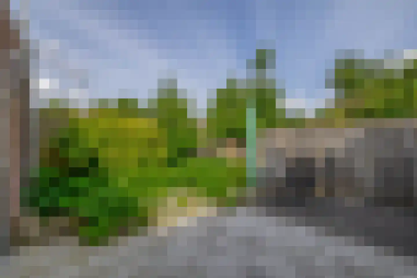 Berkehof 10 Dirksland thumbnail 4