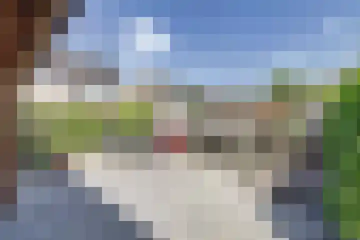 Berkehof 6 's-Gravenpolder thumbnail 34