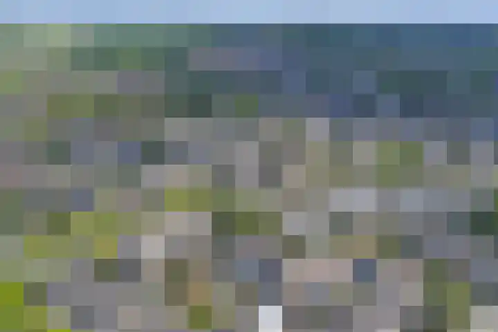 Berkehof 6 's-Gravenpolder thumbnail 38