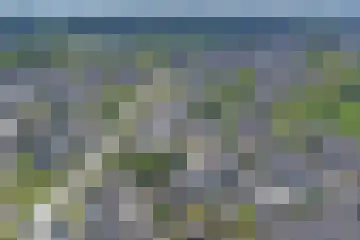 Berkehof 6 's-Gravenpolder thumbnail 39