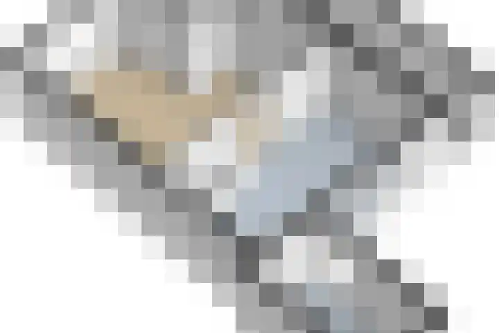 Berkehof 6 's-Gravenpolder thumbnail 47