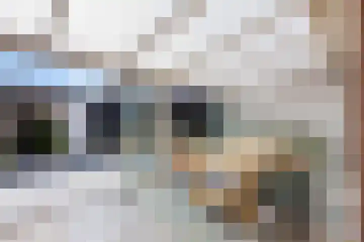 Berkehoutstraat 3 Helmond thumbnail 23